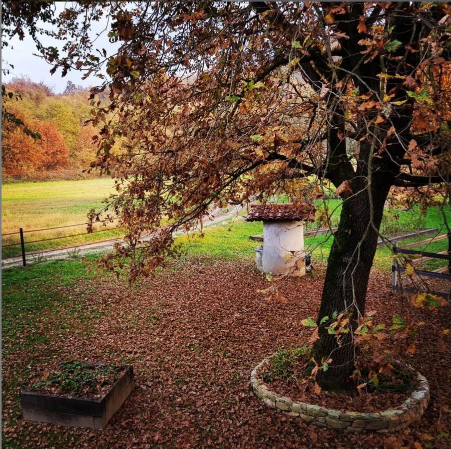 Cameloth B&B Settimo Rottaro Buitenkant foto